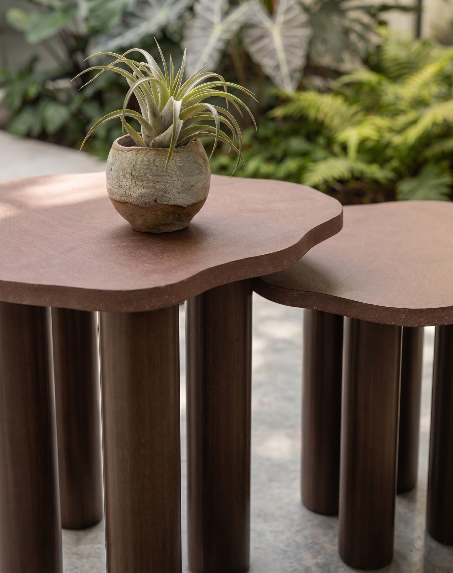 Mesa Brote S