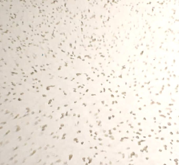 Mesa de Centro Isla - Madera